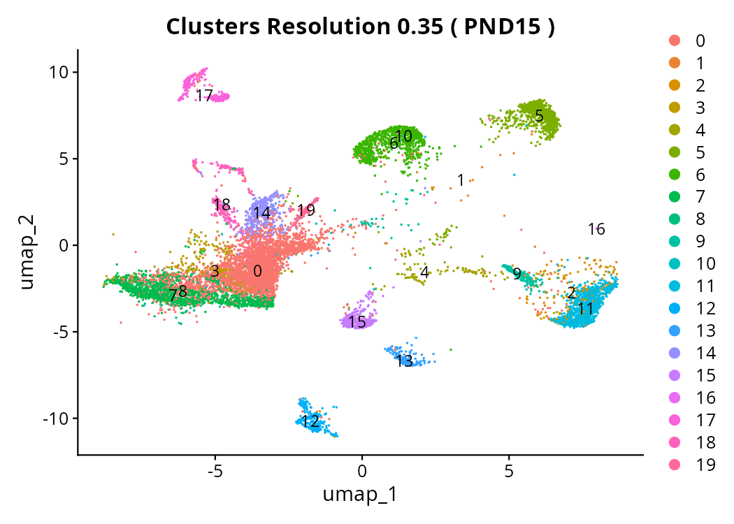 Cluster